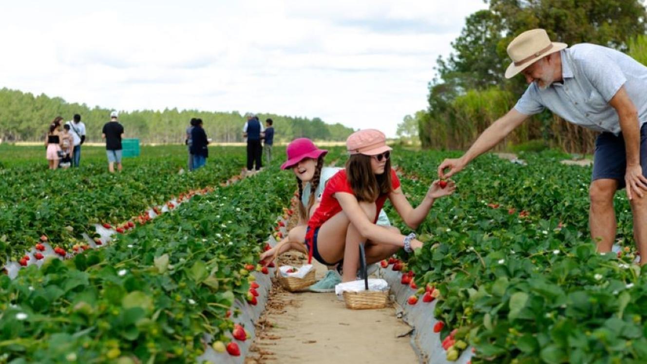 Agriturismo e filiera corta