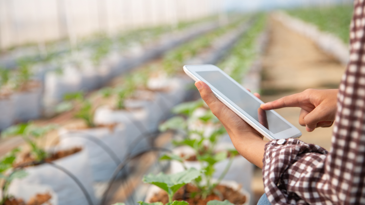 Digitale e precision farming